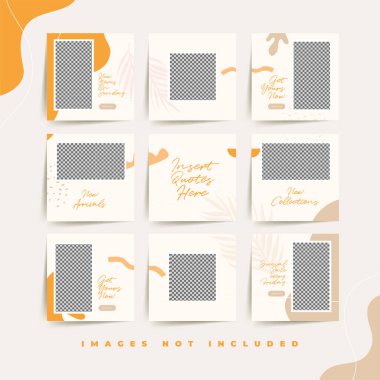 Moda kadınsı ürün reklam prim vektörü için modaya uygun sosyal medya bulmacası gönderme şablonu