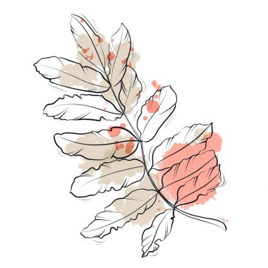 İzole edilmiş grafik ögesi: Sonbahar rovanı beyaz arka planda soyut turuncu ve bej lekeleriyle ayrılır