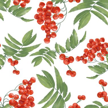 Beyaz arkaplanda rowan üzümü ile kusursuz desen