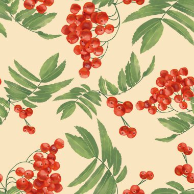 Biege arka planında rowan üzümü olan kusursuz desen