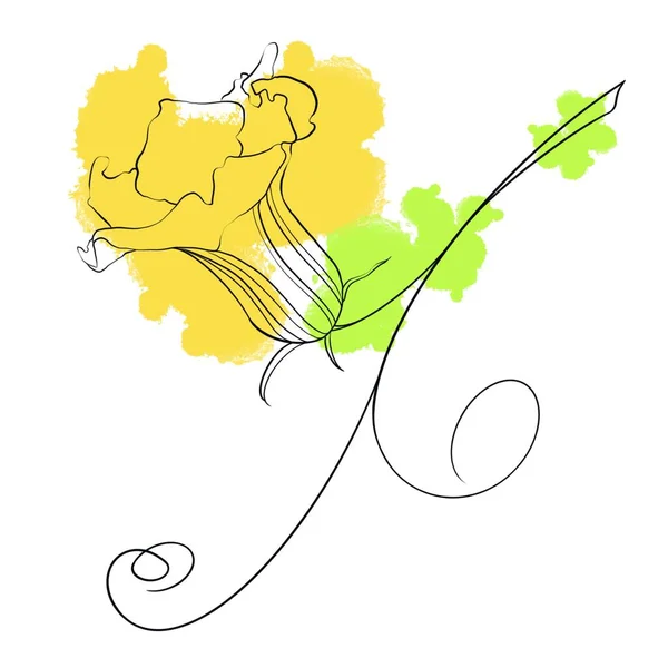 Elementos Isolados Folhas Abóbora Flores Whith Abstrato Manchas Amarelas Verdes — Fotografia de Stock