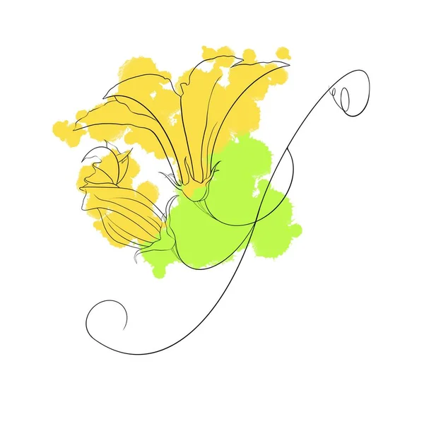 Elementos Isolados Folhas Abóbora Flores Com Manchas Abstratas Amarelas Verdes — Fotografia de Stock