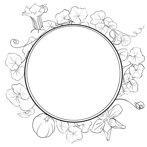 Round frame Elements of pumpkin leaves and flowers on white background of Esolited Elements of pumpkin leaves and flowers on white background