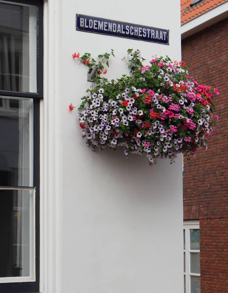 Señal Calle Bloemendalschestraat Amersfoort Bloemendalschestraat Viejo Holandés Este Era Camino — Foto de Stock