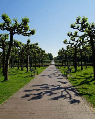 Bad Bentheim 'in kale parkındaki budanmış ağaçlara dikkat et. Tarzı 18. yüzyıldan kalma. Aralarında dört sıranın olduğu bir yürüyüş yolu. Uzakta bir çeşme. Etkileyici gölgeler..