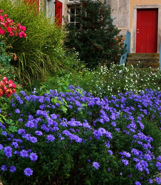 Jardín Antiguo Monasterio Las Flores Azules Aster Contrastan Muy Bien — Foto de Stock