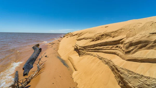 Dunes Island Las Dunas San Cosme Damian Middle Rio Parana — Stock Photo, Image