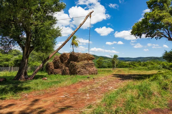 巴拉圭卡车上装载甘蔗的简易起重机装置 — 图库照片