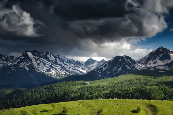 Bellissimo Paesaggio Naturale Montagne Con Neve Foresta Verde — Foto Stock