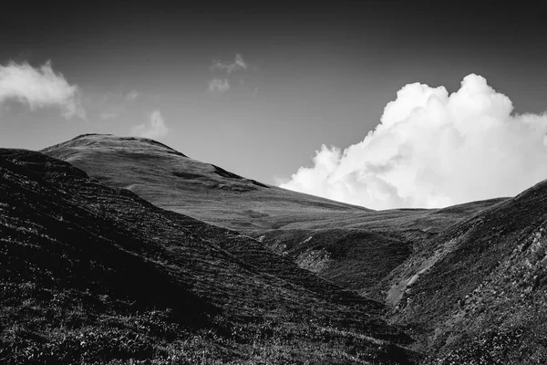 森と山の美しい自然の風景 黒と白のモノクロ トーン — ストック写真