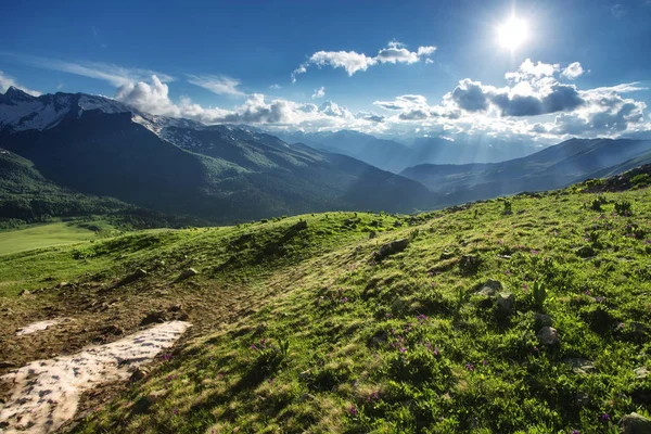 Güzel doğa manzara Dağları kar ve yeşil orman ile
