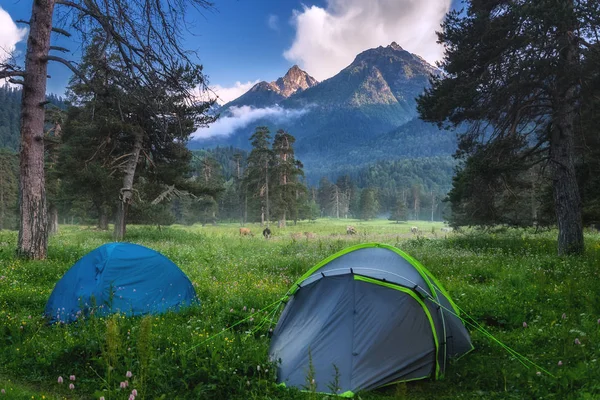 Vacker Natur Landskap Berg Vid Solnedgången Camping Tält Grönt Gräs — Stockfoto