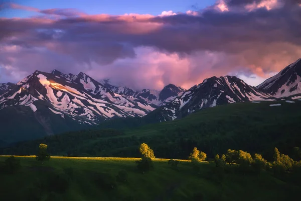 Bellissimo Paesaggio Naturale Montagne Con Neve Foresta Verde — Foto Stock