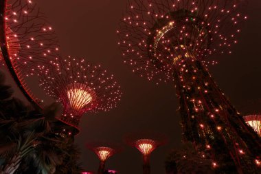 Singapore, Singapur - 16 Ekim 2017: geceleri ışıklı Supertree Grove orman. Defne, Singapur şehir bahçelerle