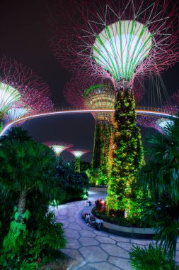 Singapore, Singapur - 16 Ekim 2017: geceleri ışıklı Supertree Grove orman. Defne, Singapur şehir bahçelerle