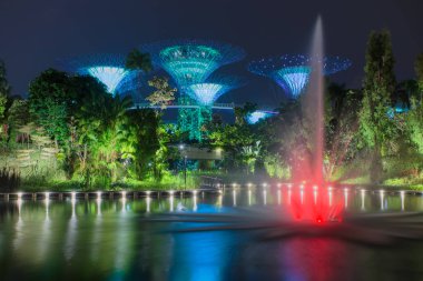 Bay, geceleri aydınlatılan Singapur bahçelerle