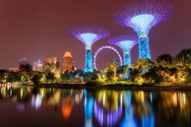 Bay, geceleri aydınlatılan Singapur bahçelerle