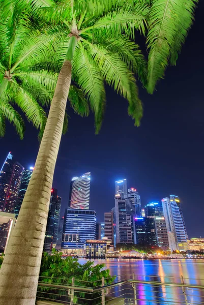 Singapore city skyline. Palm tree and business district view. Downtown reflected in water at dusk in Marina Bay. Travel cityscape