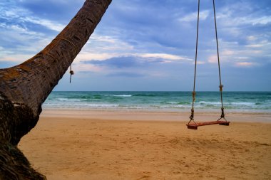 Palmiye ağacının altında ip tahta salıncakta. Tropik ada güzel doğa manzara