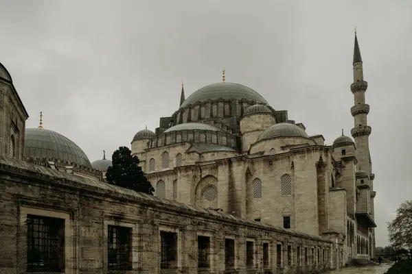 雨の日にトルコのイスタンブールでスレイマニエ ・ モスク — ストック写真