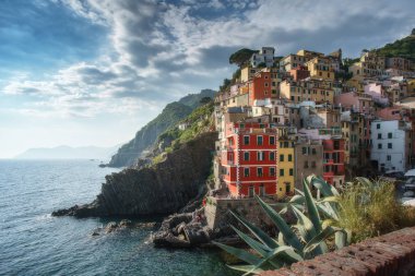 Cinque Terre, Italya 'da Riomaggiore kasaba yaz aylarında