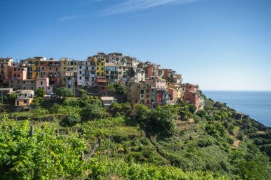 Cinque Terre 'de Corniglia kasabası, yaz aylarında Italya