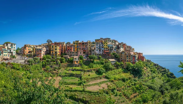 Cinque Terre 'de Corniglia kasabası, yaz aylarında Italya — Stok fotoğraf