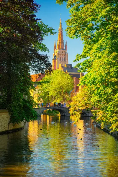 Красиве місто Брюгге (Brugge) Старе місто, Бельгія, Європа — стокове фото