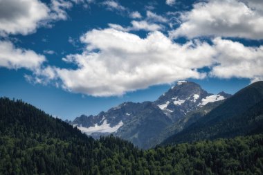 Yaz günü doğa dağları manzara