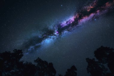 Evren astrofotoğrafçılığında Samanyolu galaksisi. Orman silueti. Yıldızlar ve nebula gece gökyüzü manzara