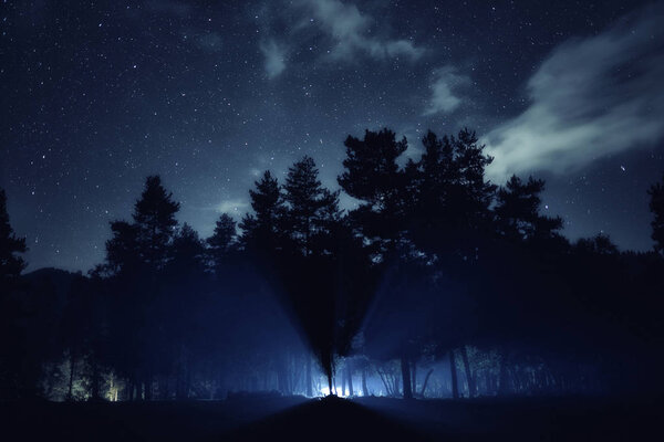 Silhouette of forest. Stars at night sky landscape