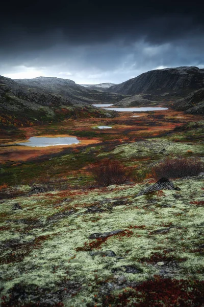 Tundra natur färgglada landskap på Kolahalvön på hösten. Murmanskregionen i norra Ryssland — Stockfoto