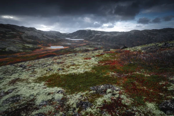 Tundra naturaleza colorido paisaje en la península de Kola en el otoño. Región de Murmansk en el norte de Rusia — Foto de Stock