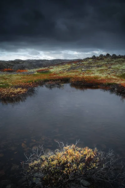 Sonbaharda Kola Yarımadası 'nda Tundra doğa rengarenk manzarası. Kuzey Rusya 'daki Murmansk Bölgesi — Stok fotoğraf