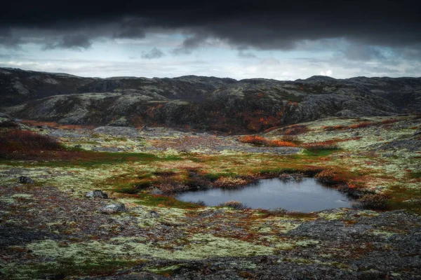 Tundra naturaleza colorido paisaje en la península de Kola en el otoño. Región de Murmansk en el norte de Rusia — Foto de Stock