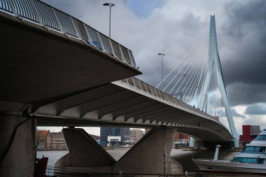 Rotterdam şehir merkezi, Hollanda (Hollanda). Şehir merkezi ve Erasmus köprüsü manzarası