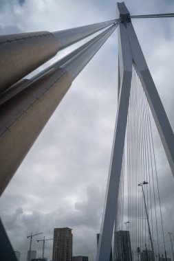 Rotterdam, Hollanda - 9 Mart 2020: Rotterdam kentinde Erasmus Köprüsü (Hollanda)