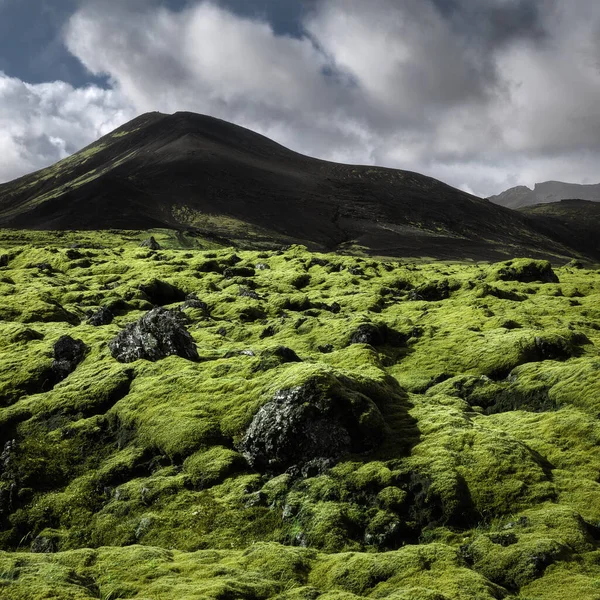 Исландский Природный Пейзаж Вулканическое Зеленое Мхом Лавовое Поле Черная Гора — стоковое фото