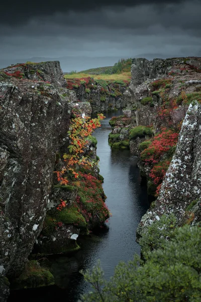 Paisaje Natural Islandés Del Parque Nacional Thingvellir Islandia Del Sur — Foto de Stock