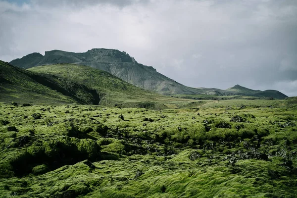 Island Naturlandschaft Vulkanisches Grünes Mooslavafeld Und Schwarzer Berg — Stockfoto