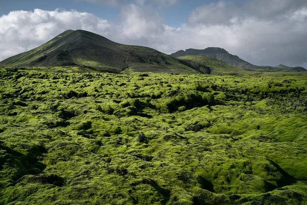 Islandia Naturaleza Paisaje Campo Lava Musgo Verde Volcánico Montaña Negra — Foto de Stock