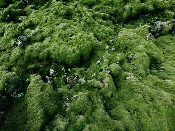 自然の緑の抽象的な背景 火山苔溶岩フィールド アイスランドの風景 ドローンからの空の景色 脂肪の層 — ストック写真