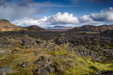 Fjallabak 'taki Landmannalaugar' daki lav tarlası. Güney İzlanda 'daki doğal rezerv. Güzel doğa manzarası