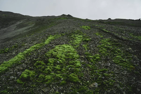 Landmannalaugar Fjallabak Naturreservat Südisland Schöne Naturlandschaft — Stockfoto