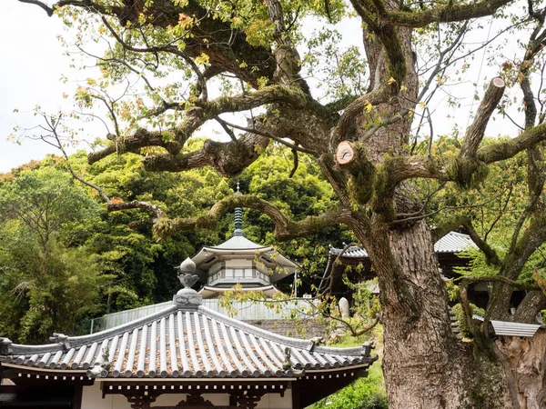 Kanonji, Kagawa Bölgesi, Japonya - 13 Nisan 2018: Kannonji ve Jinnein 'in ortak alanlarında, Shikoku hac yolunda 68 ve 69 numaralı tapınaklar