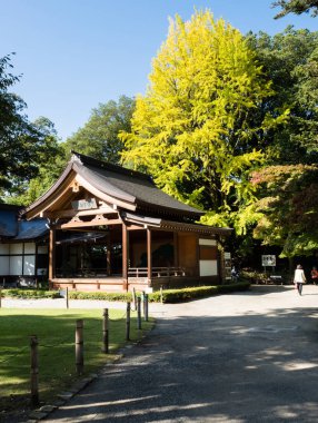 Kofu, Yamanashi Bölgesi, Japonya - 26 Ekim 2017: Takeda Shingen 'in ruhuna adanmış bir Shinto türbesi olan Takeda Tapınağı' nda sonbaharın başlarında