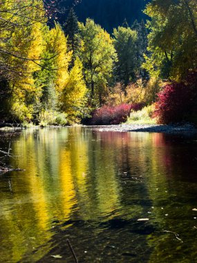 Skykomish nehri üzerinde sonbahar yeşilliği, ABD otoyolu 2, Cascade Loop - Washington eyaleti, ABD
