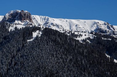Karlı kış ormanı, Noel arkaplanı