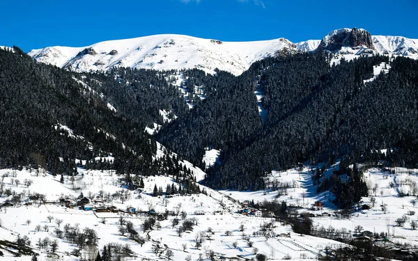 Winter Wit Bos Met Sneeuw Kerst Achtergrond — Stockfoto