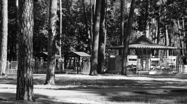 park, retro, atlıkarınca, COVID-19